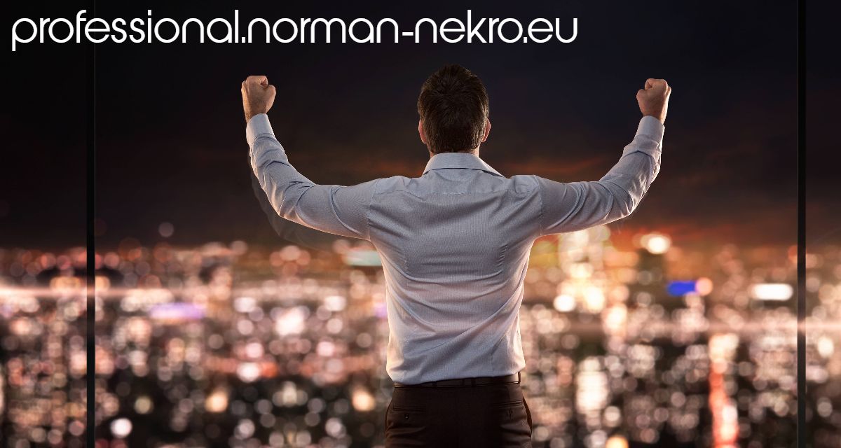 professional.norman-nekro.eu